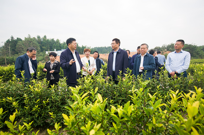 张小平在新余开展壮大农业龙头企业调研 科技赋能助推农业现代化